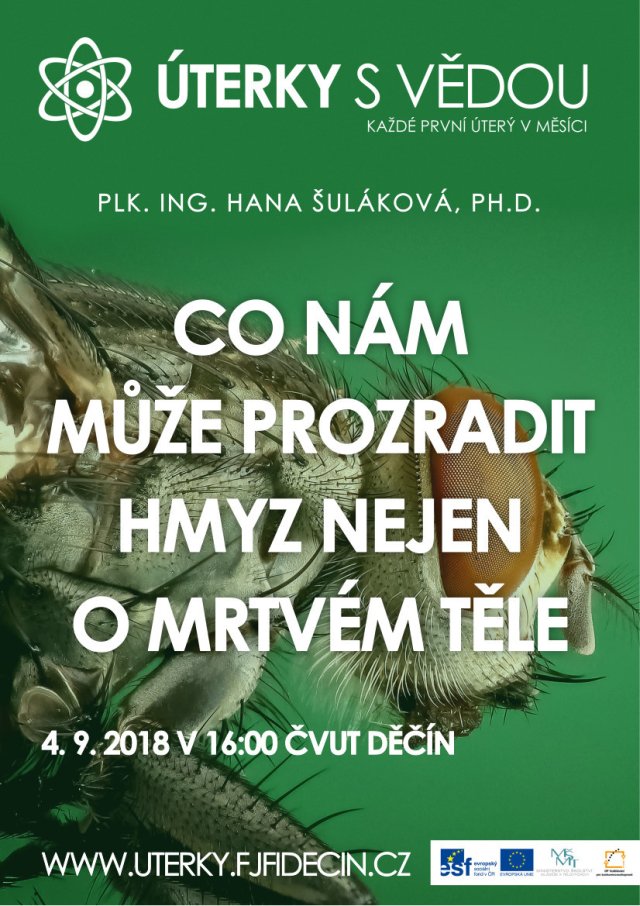 Co nám může prozradit hmyz nejen o mrtvém těle