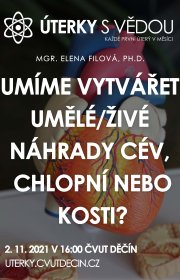 Umíme vytvářet umělé/živé náhrady cév, chlopní nebo kosti?