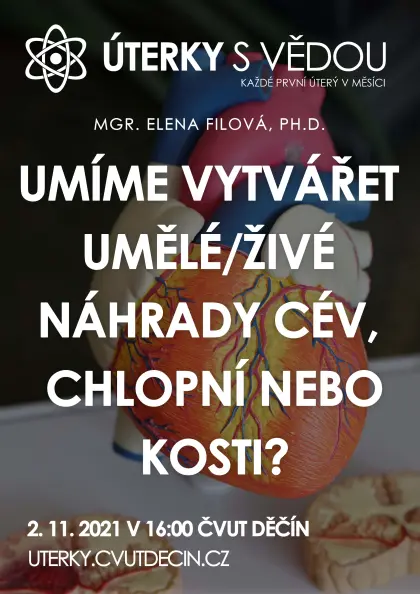 Umíme vytvářet umělé/živé náhrady cév, chlopní nebo kosti?