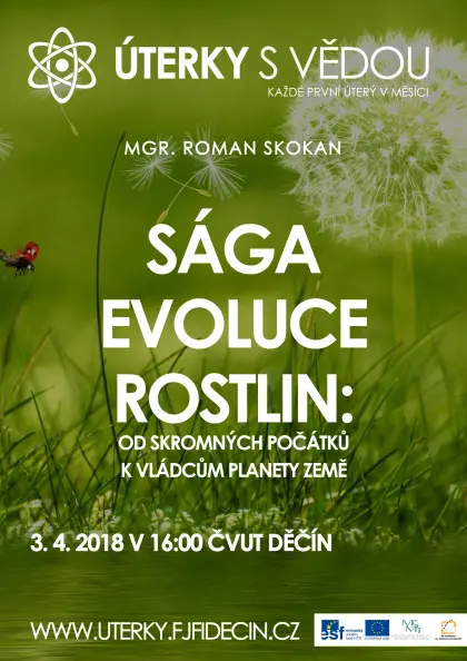 Sága evoluce rostlin: od skromných počátků k vládcům planety Země